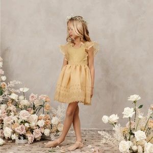 Noralee Provence dress in citron 2t